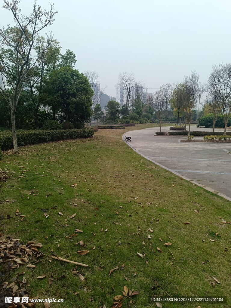 户外开阔草地与道路景观