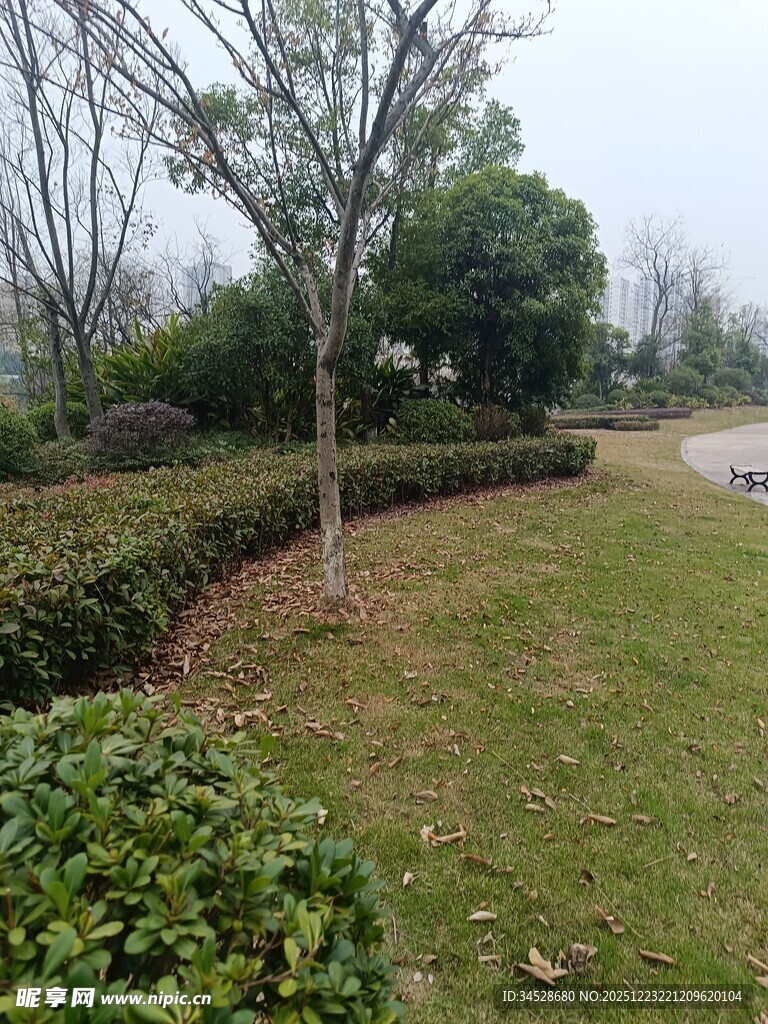 户外绿植景观一角