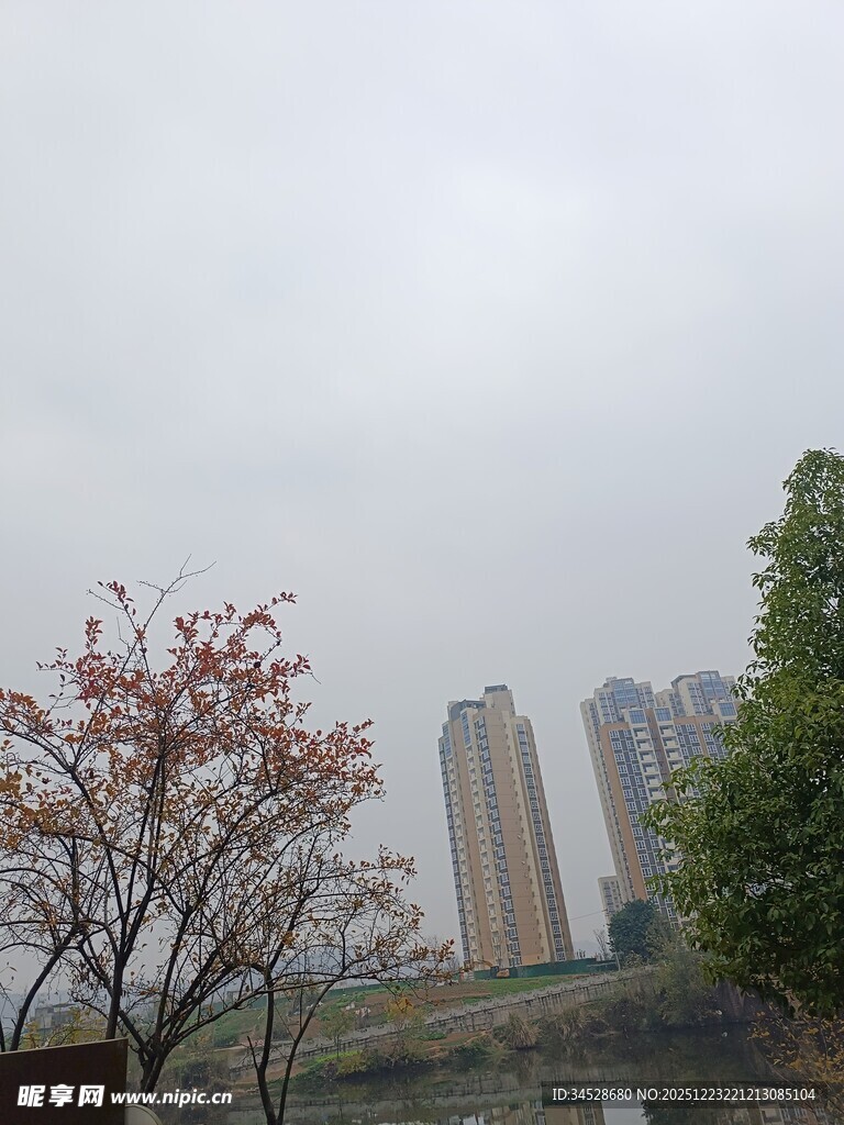 城市中绽放的繁花与高楼