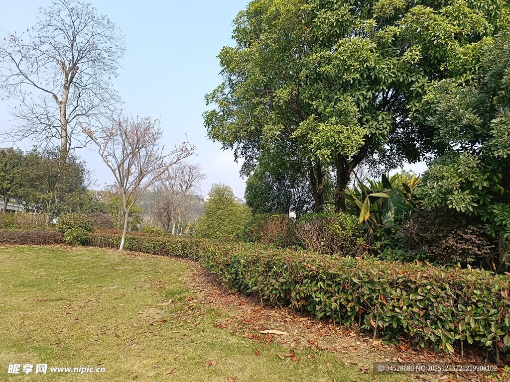 户外绿意盎然的园林景致