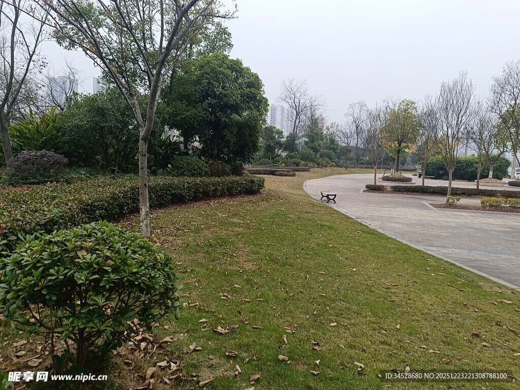 公园草坪与小径景观