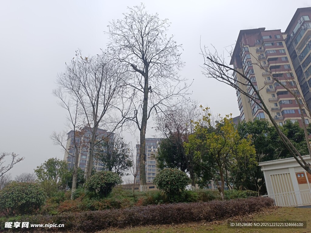 小区旁的绿化景观