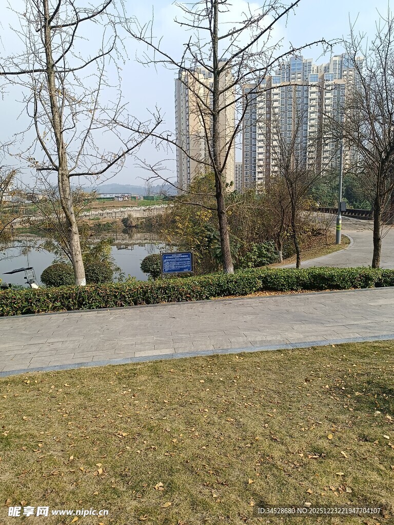 城市公园冬日景观