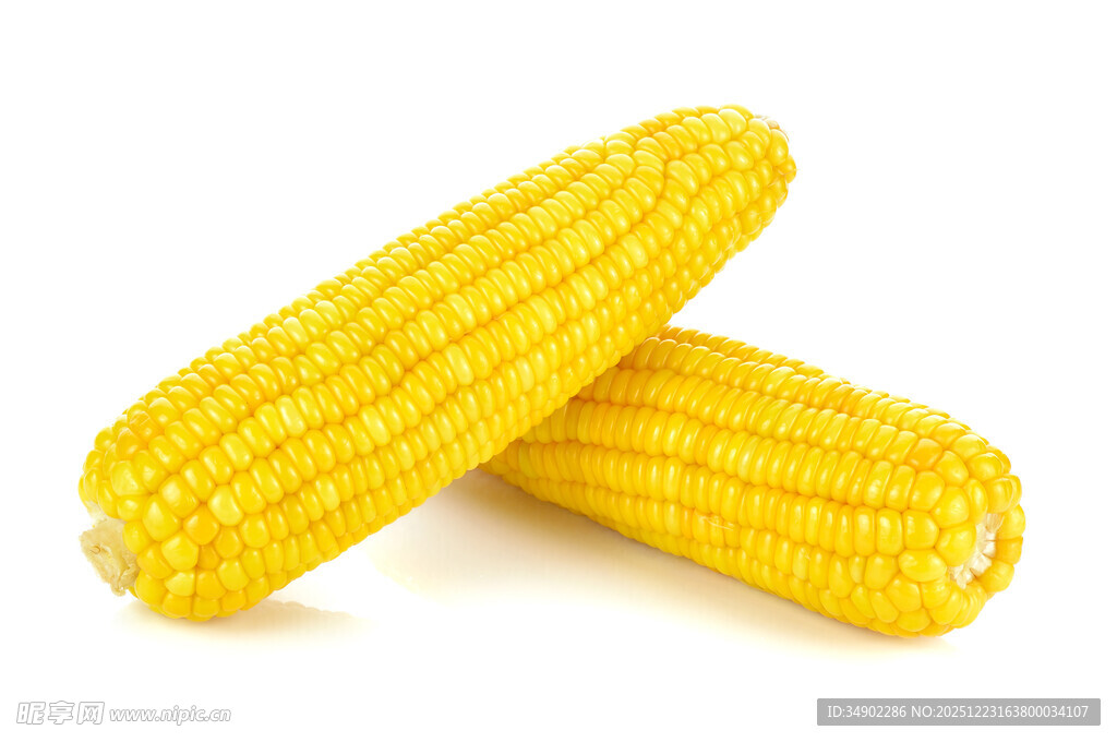 两根鲜玉米