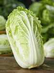 一颗鲜嫩的大白菜