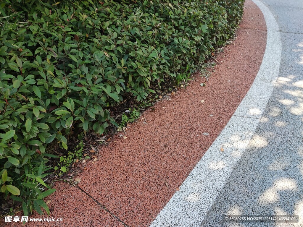 路边绿植与红色步道