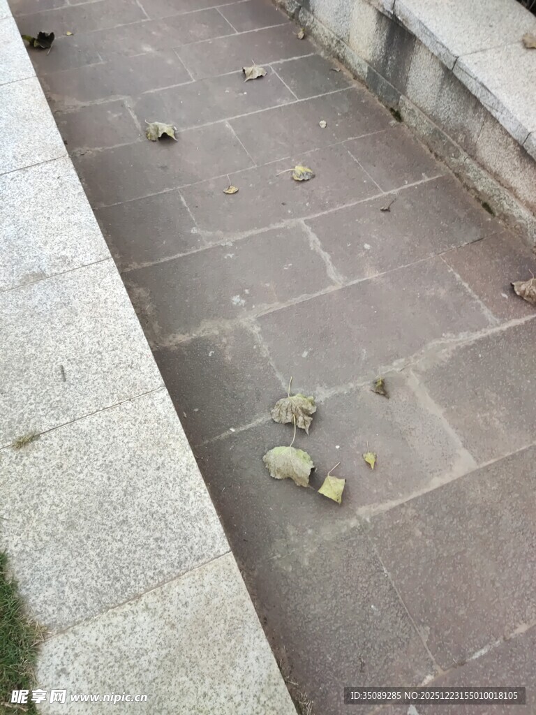 地面散落的垃圾