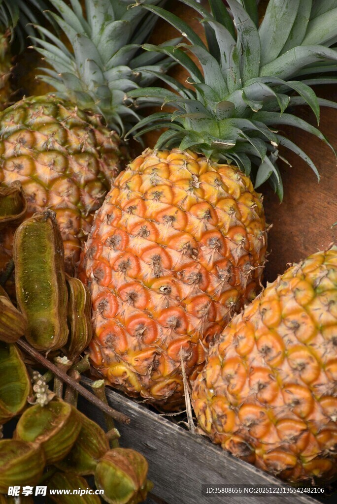 新鲜菠萝