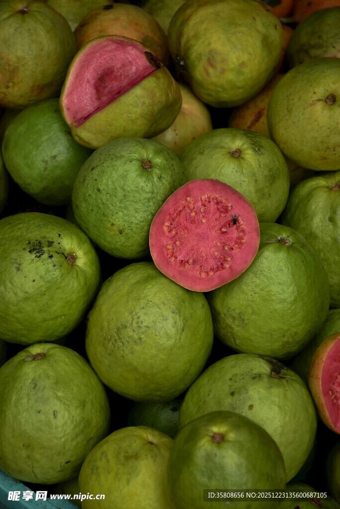 青皮红心番石榴