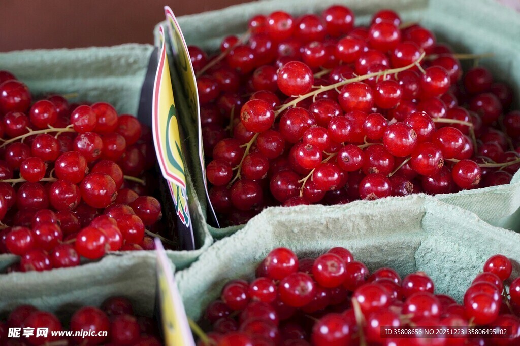 盒装红醋栗果实特写