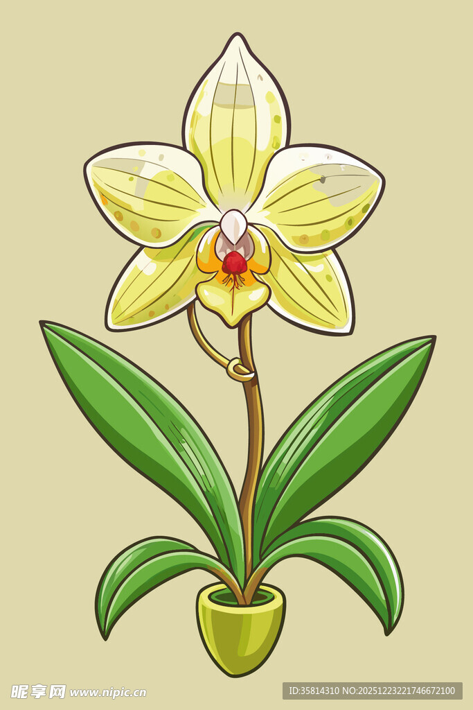 黄色兰花盆栽插画