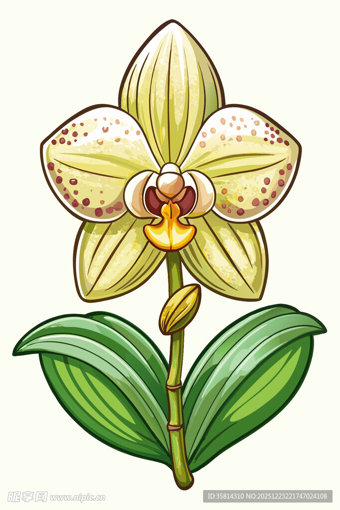 黄色斑点兰花插画