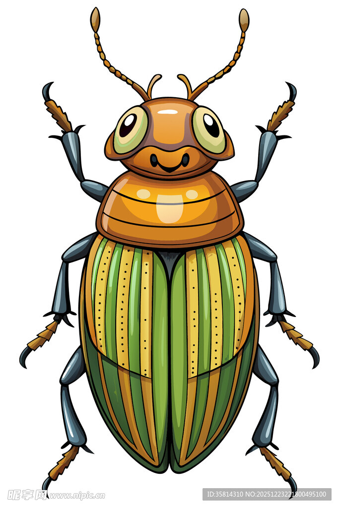 可爱条纹甲虫插画