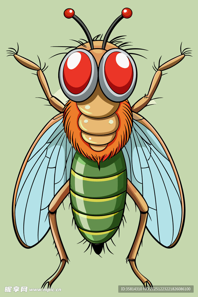 可爱卡通苍蝇形象展示