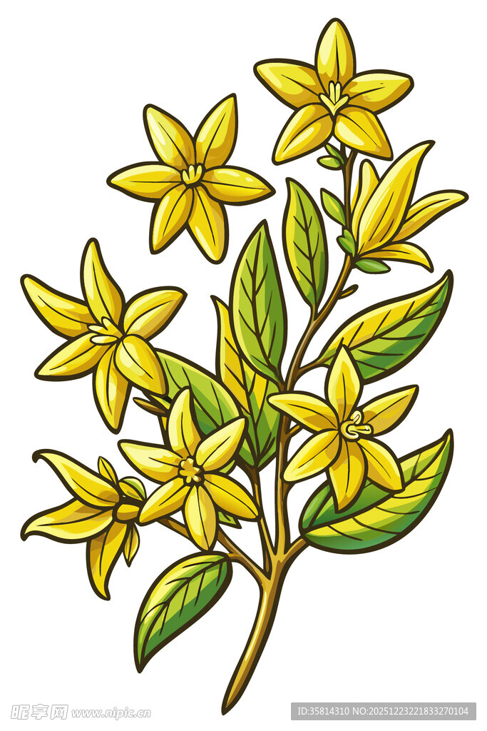 黄色花朵植物插画