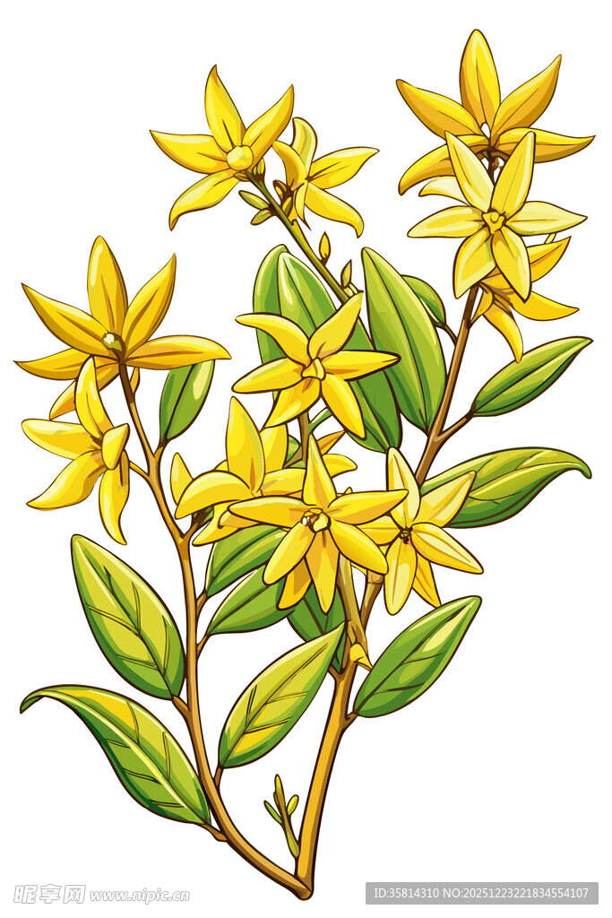 黄色小花绿叶植物插画