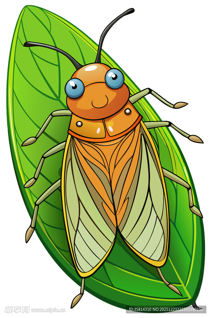 绿叶上的橙色蝉