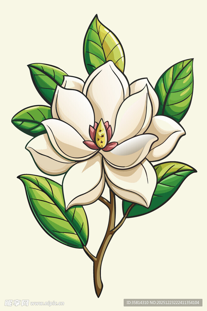 手绘玉兰花插画