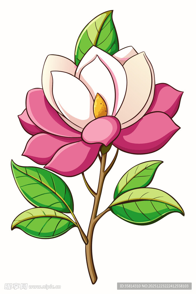 手绘粉色玉兰花插画