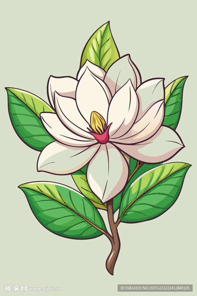 手绘玉兰花插画