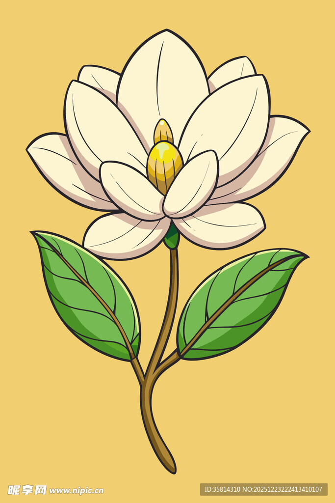 手绘玉兰花插画