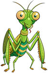 可爱的绿色螳螂卡通形象