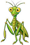 可爱卡通螳螂形象