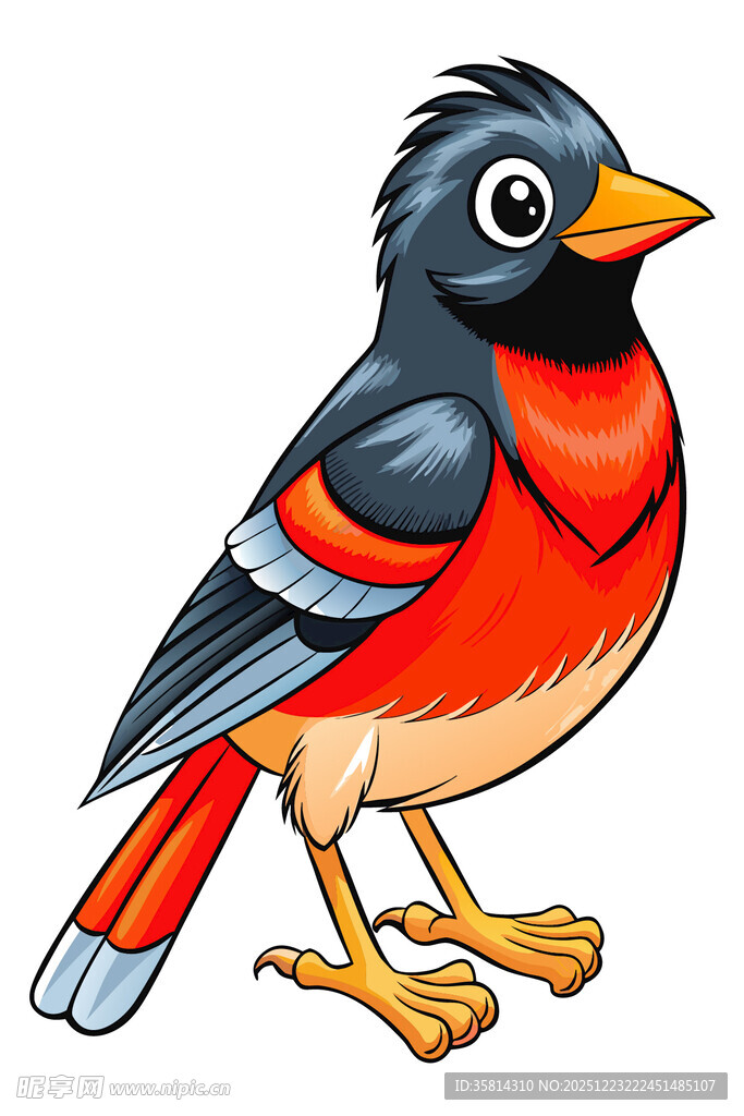 彩色小鸟插画