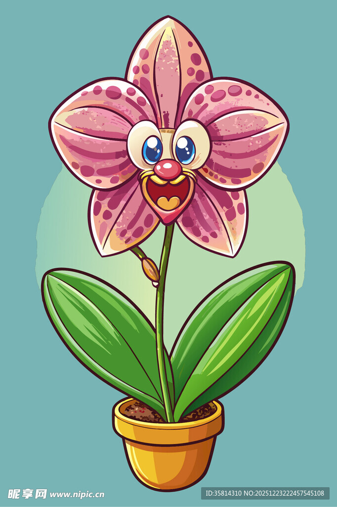 可爱卡通兰花盆栽