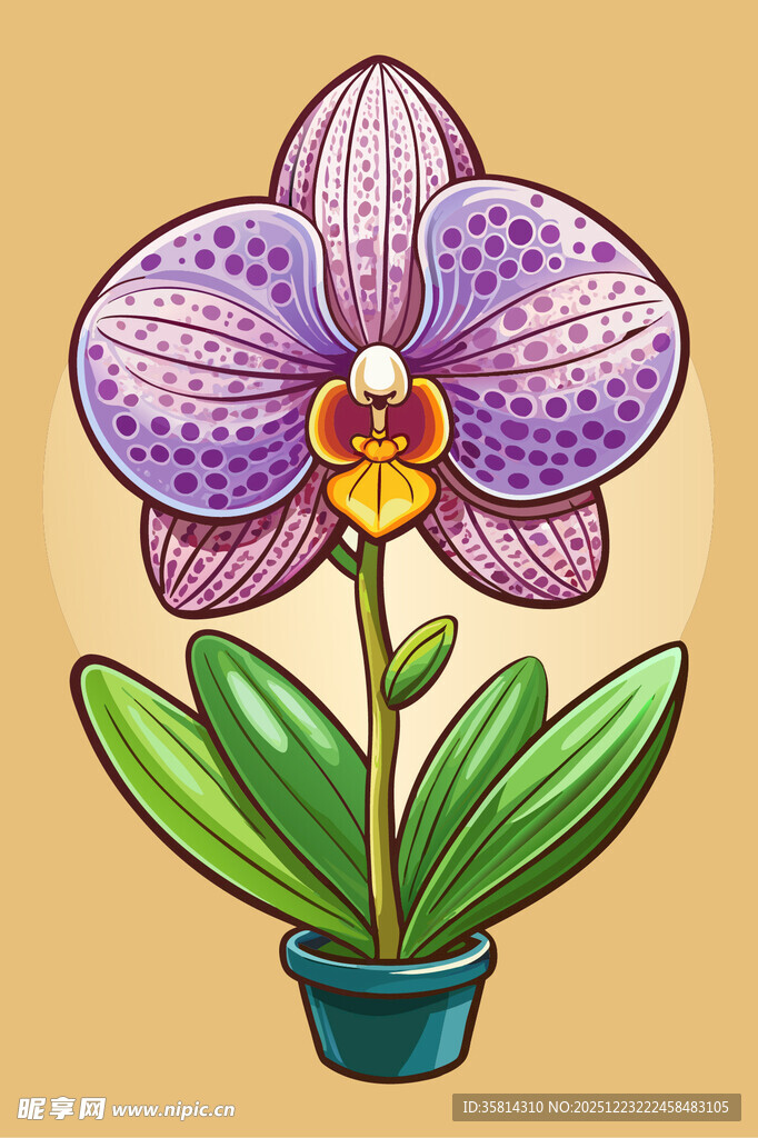 紫色蝴蝶兰盆栽插画