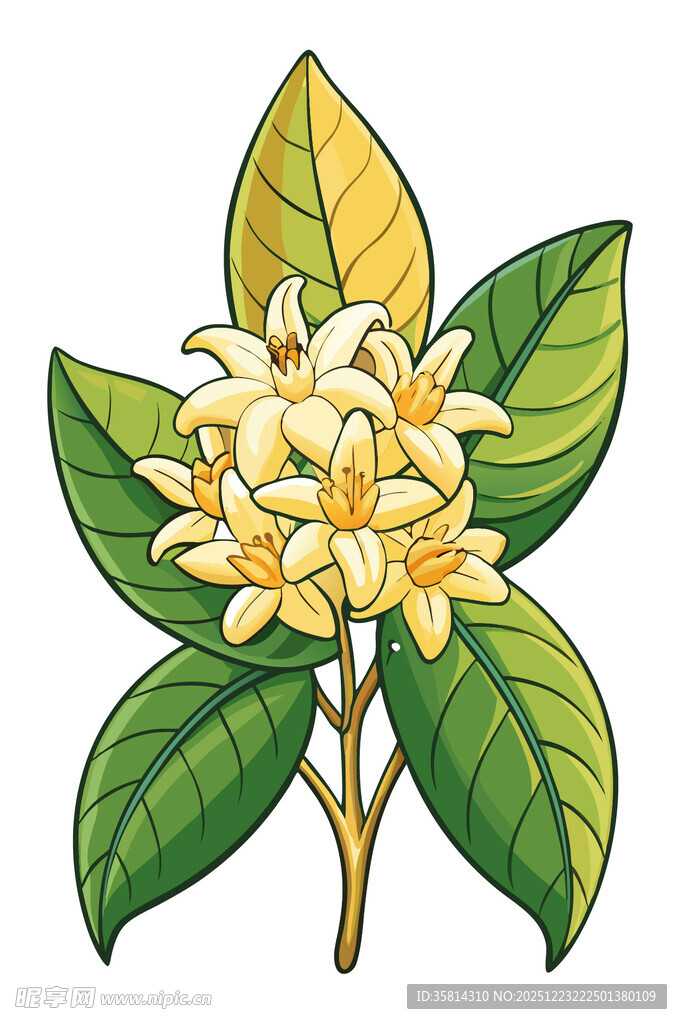 黄色花朵绿叶植物插画