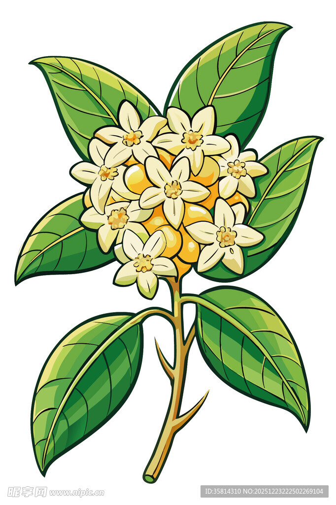 手绘白色花朵与绿叶植物