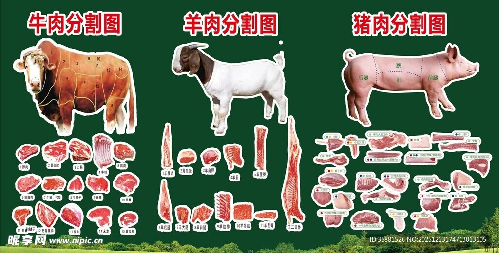 家畜肉类切割展示图灯箱背景墙
