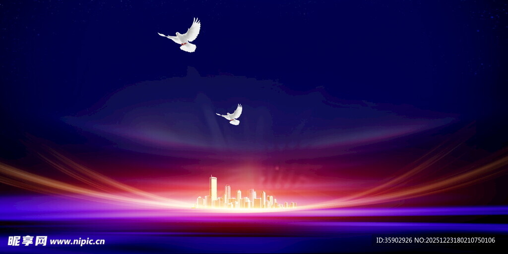 梦幻夜空下的飞鸟与光影