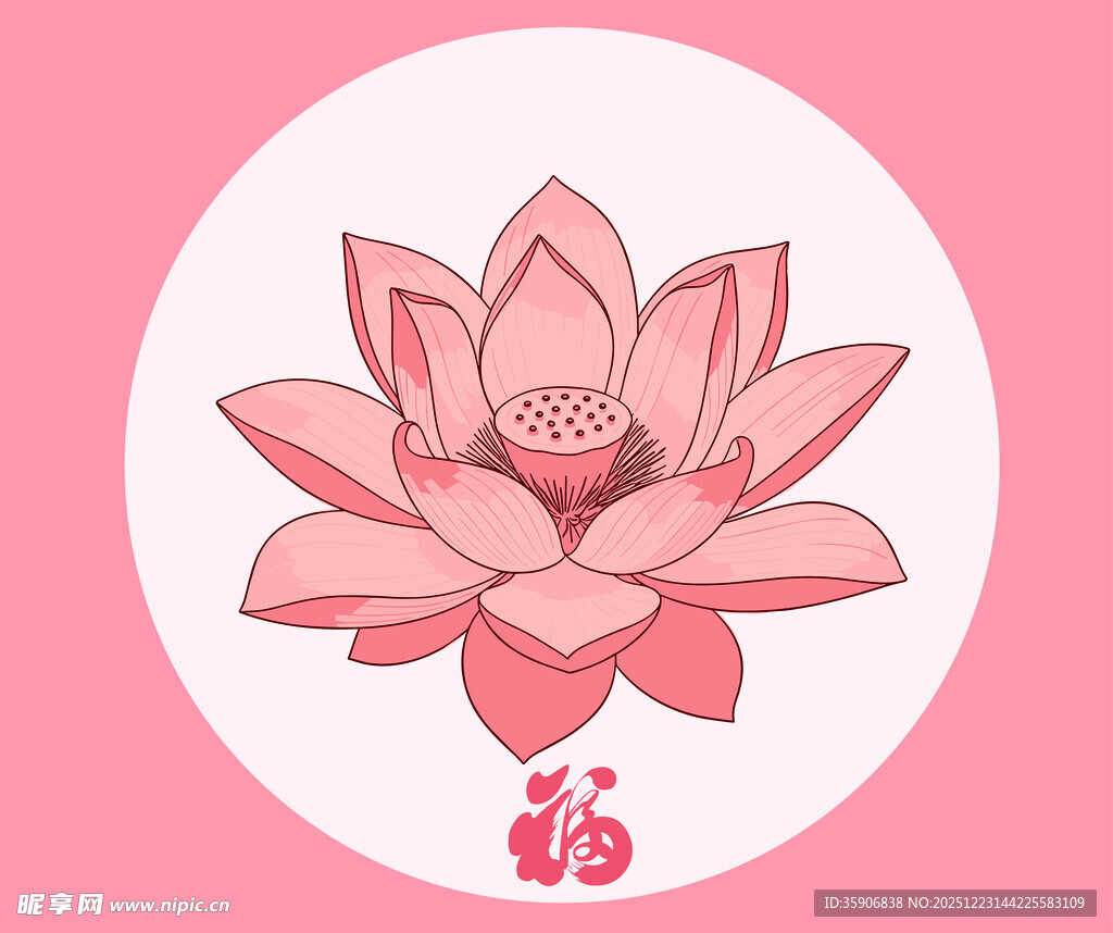粉色莲花插画