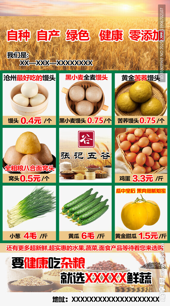 多样新鲜蔬菜展示