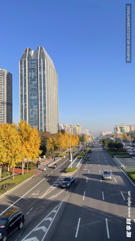 秋日城市道路与高楼景观