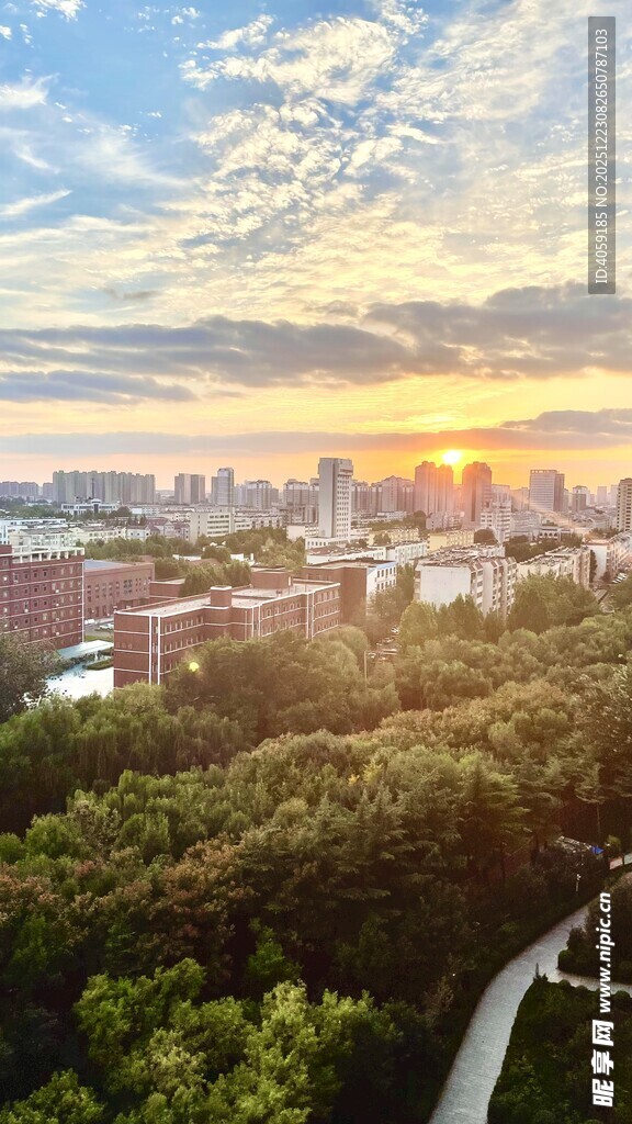 城市日出下的葱郁景观