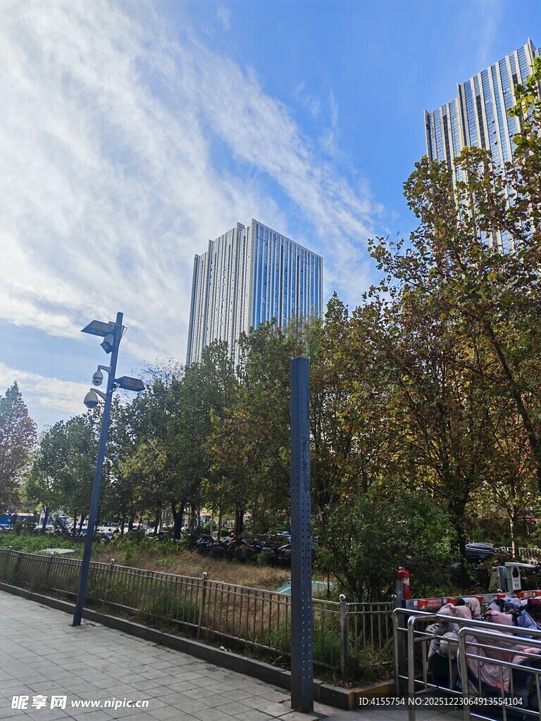 城市公园中的休闲景致