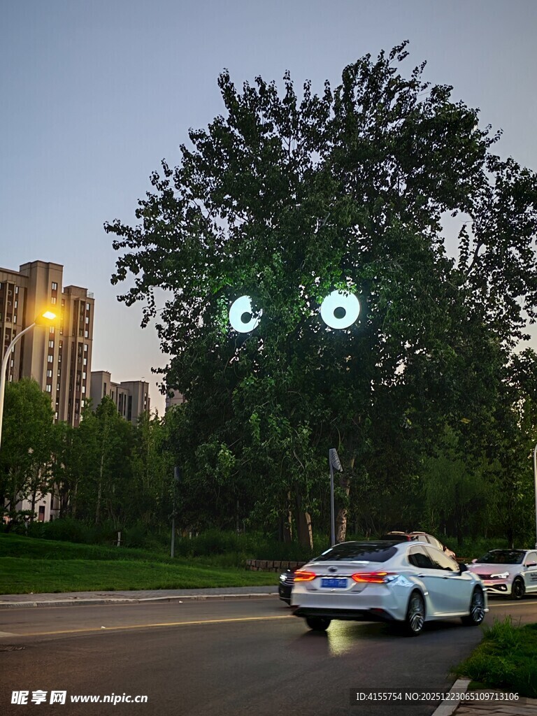 夜晚树下的亮眼汽车