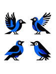 四只蓝黑相间姿态各异小鸟