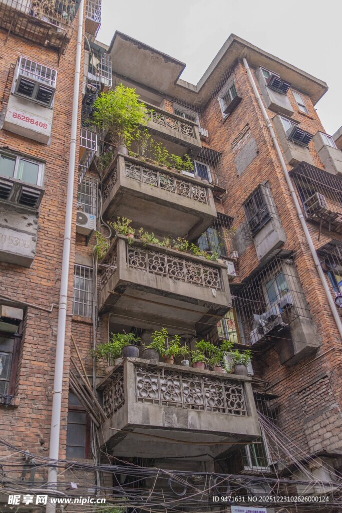 老旧居民楼的绿植阳台