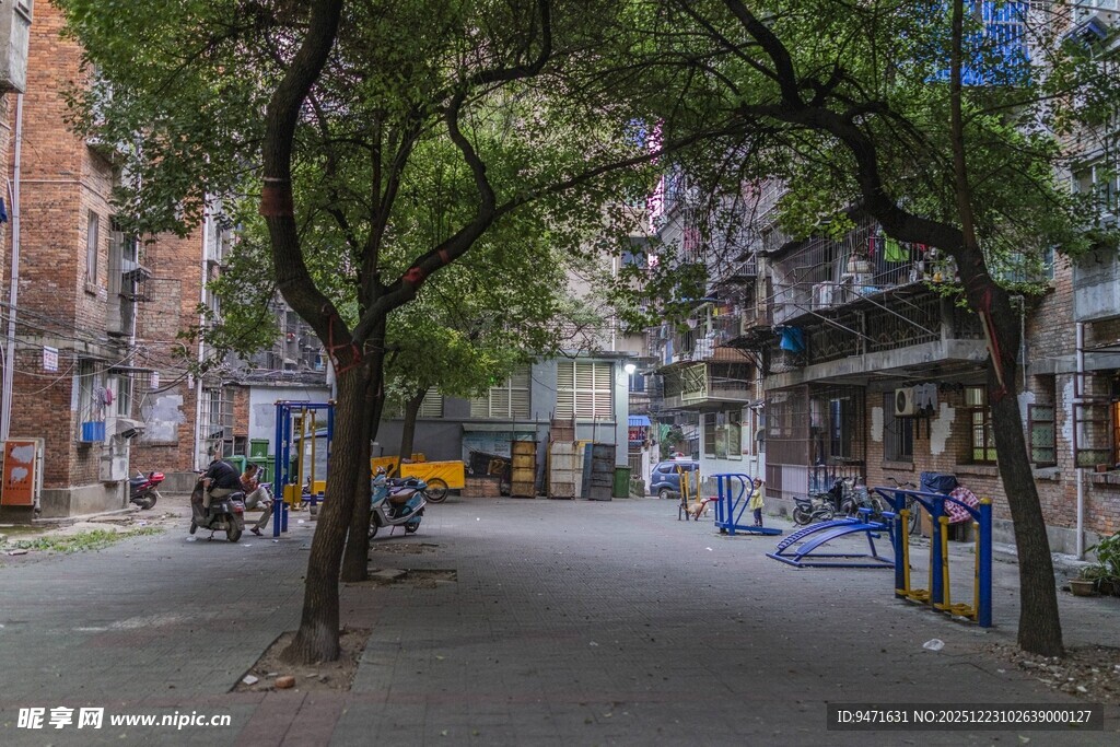 老南昌城市街道绿荫下的宁静景象