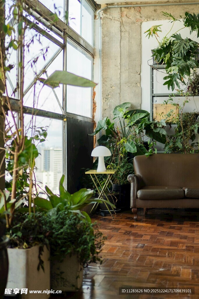 室内绿植环绕的舒适空间