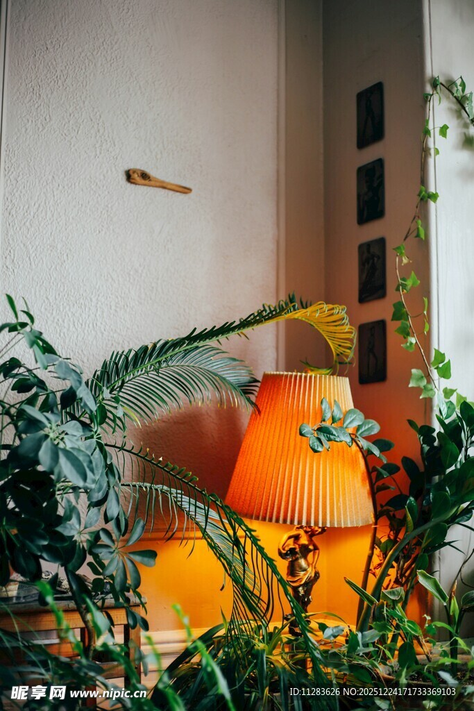 室内绿植与温馨台灯景观
