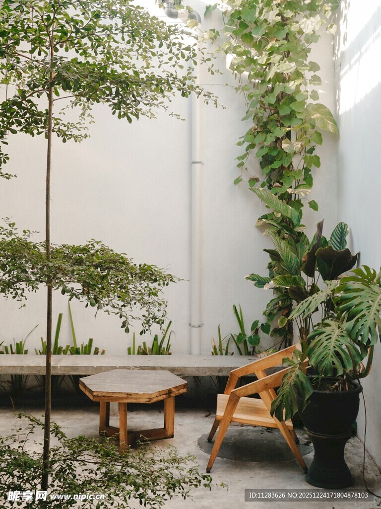 室内绿植环绕的休闲角落