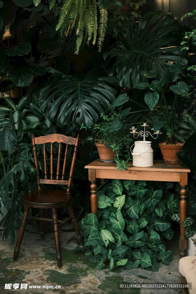 绿植环绕的桌椅景致