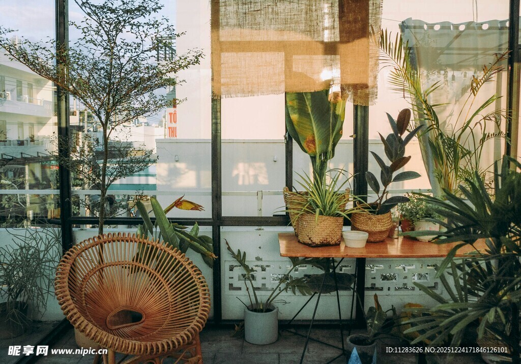 室内窗边的绿植与藤编椅