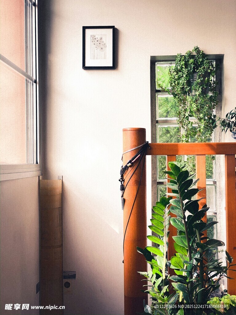 温馨室内角落绿植与装饰