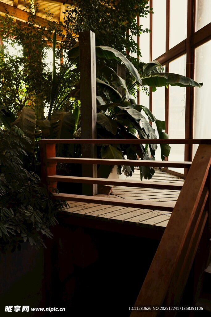 室内绿植环绕的木质平台